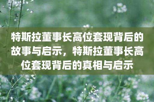 特斯拉董事长高位套现背后的故事与启示，特斯拉董事长高位套现背后的真相与启示