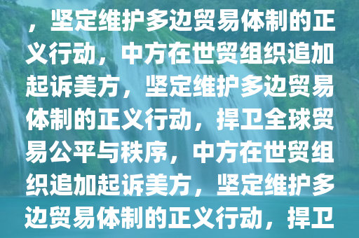 中方在世贸组织追加起诉美方，坚定维护多边贸易体制的正义行动，中方在世贸组织追加起诉美方，坚定维护多边贸易体制的正义行动，捍卫全球贸易公平与秩序，中方在世贸组织追加起诉美方，坚定维护多边贸易体制的正义行动，捍卫全球贸易公平与秩序之战