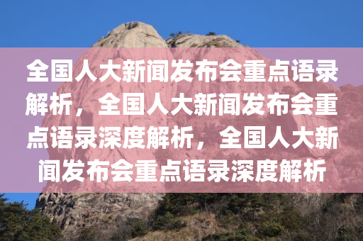 全国人大新闻发布会重点语录解析，全国人大新闻发布会重点语录深度解析，全国人大新闻发布会重点语录深度解析