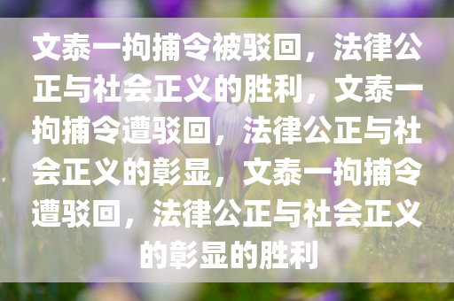 文泰一拘捕令被驳回，法律公正与社会正义的胜利，文泰一拘捕令遭驳回，法律公正与社会正义的彰显，文泰一拘捕令遭驳回，法律公正与社会正义的彰显的胜利