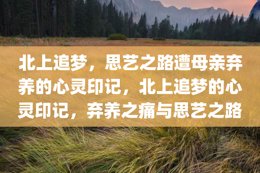 北上追梦，思艺之路遭母亲弃养的心灵印记，北上追梦的心灵印记，弃养之痛与思艺之路