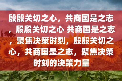 殷殷关切之心，共商国是之志，殷殷关切之心 共商国是之志，聚焦决策时刻，殷殷关切之心，共商国是之志，聚焦决策时刻的决策力量