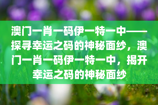 澳门一肖一码伊一特一中——探寻幸运之码的神秘面纱，澳门一肖一码伊一特一中，揭开幸运之码的神秘面纱