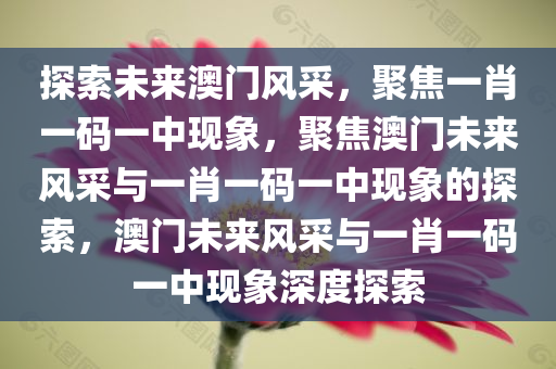 探索未来澳门风采，聚焦一肖一码一中现象，聚焦澳门未来风采与一肖一码一中现象的探索，澳门未来风采与一肖一码一中现象深度探索