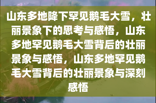 山东多地降下罕见鹅毛大雪，壮丽景象下的思考与感悟，山东多地罕见鹅毛大雪背后的壮丽景象与感悟，山东多地罕见鹅毛大雪背后的壮丽景象与深刻感悟