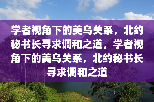 学者视角下的美乌关系，北约秘书长寻求调和之道，学者视角下的美乌关系，北约秘书长寻求调和之道