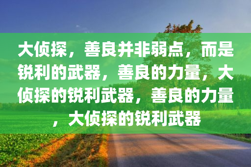 大侦探，善良并非弱点，而是锐利的武器，善良的力量，大侦探的锐利武器，善良的力量，大侦探的锐利武器