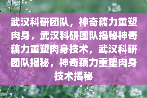 武汉科研团队，神奇藕力重塑肉身，武汉科研团队揭秘神奇藕力重塑肉身技术，武汉科研团队揭秘，神奇藕力重塑肉身技术揭秘