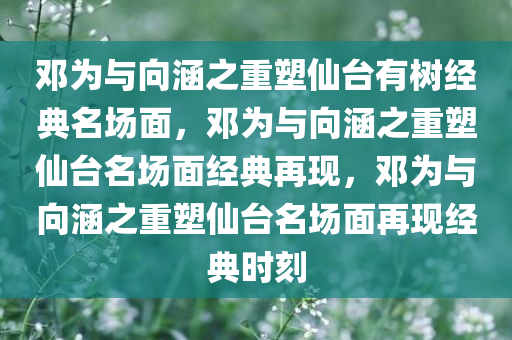 邓为与向涵之重塑仙台有树经典名场面，邓为与向涵之重塑仙台名场面经典再现，邓为与向涵之重塑仙台名场面再现经典时刻