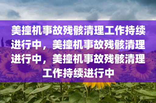 美撞机事故残骸清理工作持续进行中，美撞机事故残骸清理进行中，美撞机事故残骸清理工作持续进行中