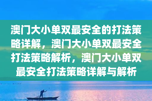 澳门大小单双最安全的打法策略详解，澳门大小单双最安全打法策略解析，澳门大小单双最安全打法策略详解与解析