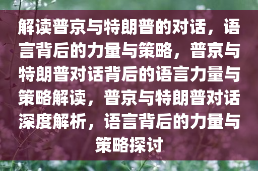 解读普京与特朗普的对话，语言背后的力量与策略，普京与特朗普对话背后的语言力量与策略解读，普京与特朗普对话深度解析，语言背后的力量与策略探讨