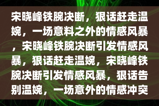 宋晓峰铁腕决断，狠话赶走温婉，一场意料之外的情感风暴，宋晓峰铁腕决断引发情感风暴，狠话赶走温婉，宋晓峰铁腕决断引发情感风暴，狠话告别温婉，一场意外的情感冲突