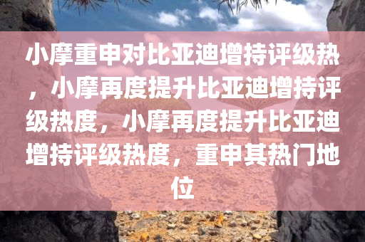 小摩重申对比亚迪增持评级热，小摩再度提升比亚迪增持评级热度，小摩再度提升比亚迪增持评级热度，重申其热门地位