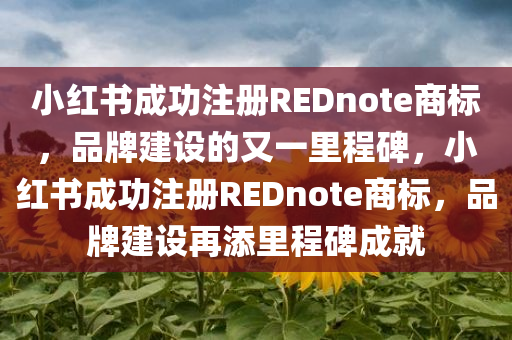 小红书成功注册REDnote商标，品牌建设的又一里程碑，小红书成功注册REDnote商标，品牌建设再添里程碑成就