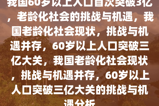 我国60岁以上人口首次突破3亿，老龄化社会的挑战与机遇，我国老龄化社会现状，挑战与机遇并存，60岁以上人口突破三亿大关，我国老龄化社会现状，挑战与机遇并存，60岁以上人口突破三亿大关的挑战与机遇分析