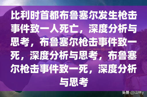 比利时首都布鲁塞尔发生枪击事件致一人死亡，深度分析与思考，布鲁塞尔枪击事件致一死，深度分析与思考，布鲁塞尔枪击事件致一死，深度分析与思考