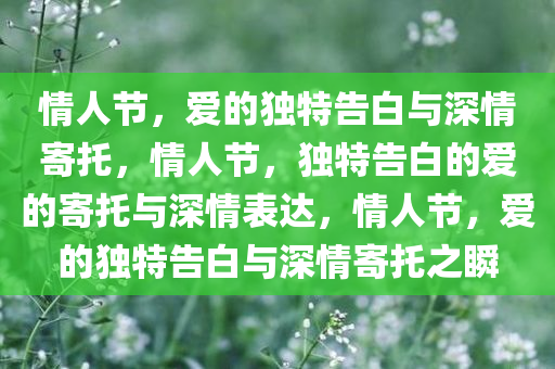 情人节，爱的独特告白与深情寄托，情人节，独特告白的爱的寄托与深情表达，情人节，爱的独特告白与深情寄托之瞬