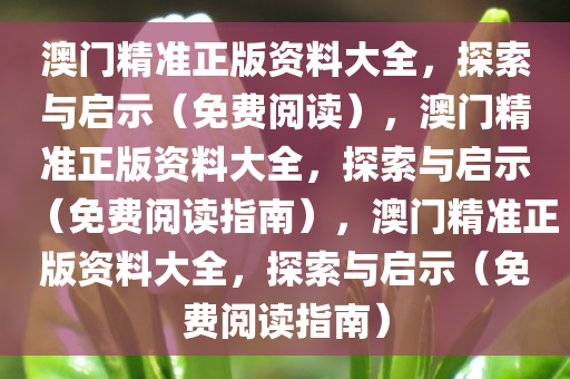 澳门精准正版资料大全，探索与启示（免费阅读），澳门精准正版资料大全，探索与启示（免费阅读指南），澳门精准正版资料大全，探索与启示（免费阅读指南）