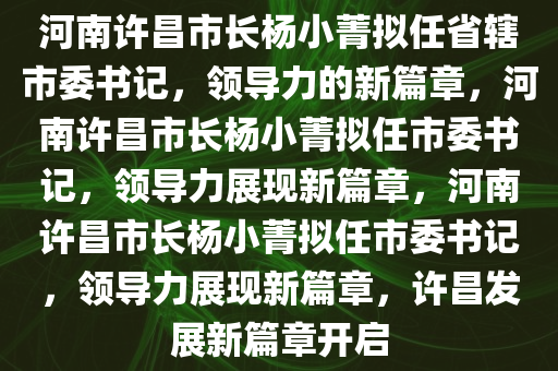 河南许昌市长杨小菁拟任省辖市委书记，领导力的新篇章，河南许昌市长杨小菁拟任市委书记，领导力展现新篇章，河南许昌市长杨小菁拟任市委书记，领导力展现新篇章，许昌发展新篇章开启