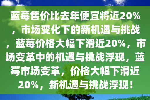 蓝莓售价比去年便宜将近20%，市场变化下的新机遇与挑战，蓝莓价格大幅下滑近20%，市场变革中的机遇与挑战浮现，蓝莓市场变革，价格大幅下滑近20%，新机遇与挑战浮现！