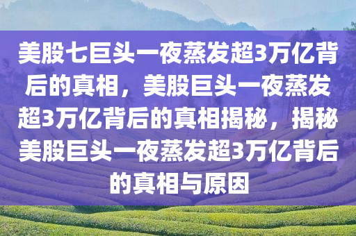 美股七巨头一夜蒸发超3万亿背后的真相，美股巨头一夜蒸发超3万亿背后的真相揭秘，揭秘美股巨头一夜蒸发超3万亿背后的真相与原因