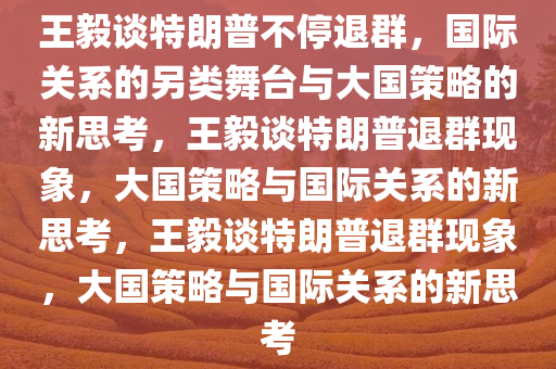 王毅谈特朗普不停退群，国际关系的另类舞台与大国策略的新思考，王毅谈特朗普退群现象，大国策略与国际关系的新思考，王毅谈特朗普退群现象，大国策略与国际关系的新思考