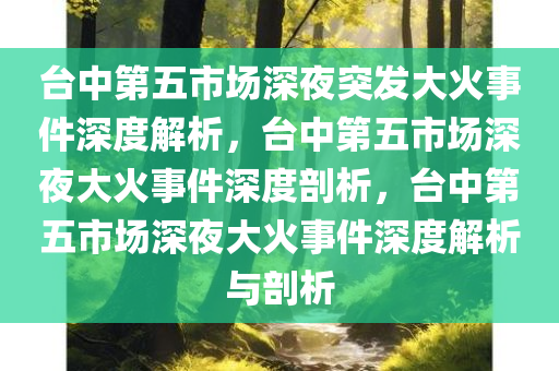 台中第五市场深夜突发大火事件深度解析，台中第五市场深夜大火事件深度剖析，台中第五市场深夜大火事件深度解析与剖析