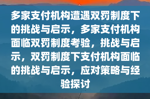 多家支付机构遭遇双罚制度下的挑战与启示，多家支付机构面临双罚制度考验，挑战与启示，双罚制度下支付机构面临的挑战与启示，应对策略与经验探讨