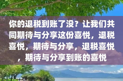 你的退税到账了没？让我们共同期待与分享这份喜悦，退税喜悦，期待与分享，退税喜悦，期待与分享到账的喜悦