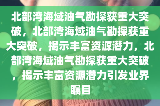 北部湾海域油气勘探获重大突破，北部湾海域油气勘探获重大突破，揭示丰富资源潜力，北部湾海域油气勘探获重大突破，揭示丰富资源潜力引发业界瞩目