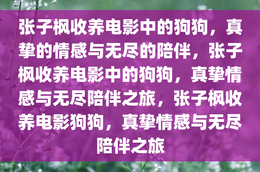 张子枫收养电影中的狗狗，真挚的情感与无尽的陪伴，张子枫收养电影中的狗狗，真挚情感与无尽陪伴之旅，张子枫收养电影狗狗，真挚情感与无尽陪伴之旅