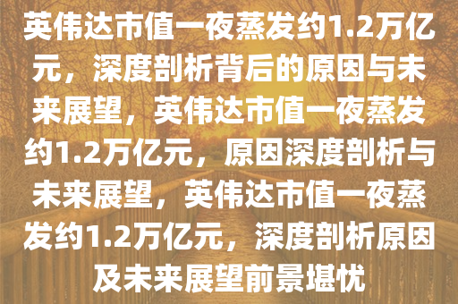 英伟达市值一夜蒸发约1.2万亿元，深度剖析背后的原因与未来展望，英伟达市值一夜蒸发约1.2万亿元，原因深度剖析与未来展望，英伟达市值一夜蒸发约1.2万亿元，深度剖析原因及未来展望前景堪忧