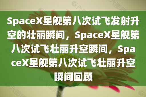 SpaceX星舰第八次试飞发射升空的壮丽瞬间，SpaceX星舰第八次试飞壮丽升空瞬间，SpaceX星舰第八次试飞壮丽升空瞬间回顾