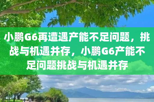 小鹏G6再遭遇产能不足问题，挑战与机遇并存，小鹏G6产能不足问题挑战与机遇并存