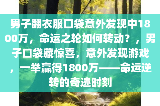 男子翻衣服口袋意外发现中1800万，命运之轮如何转动？，男子口袋藏惊喜，意外发现游戏，一举赢得1800万——命运逆转的奇迹时刻