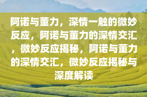 阿诺想亲吻时董力的反应