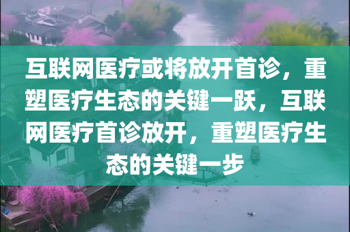 互联网医疗或将放开首诊，重塑医疗生态的关键一跃，互联网医疗首诊放开，重塑医疗生态的关键一步