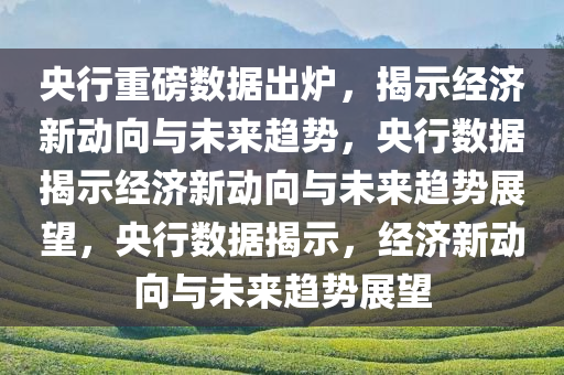 央行重磅数据出炉，揭示经济新动向与未来趋势，央行数据揭示经济新动向与未来趋势展望，央行数据揭示，经济新动向与未来趋势展望