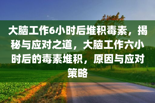 大脑工作6小时后堆积毒素，揭秘与应对之道，大脑工作六小时后的毒素堆积，原因与应对策略