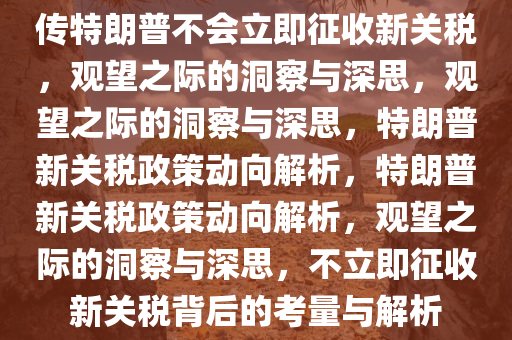 传特朗普不会立即征收新关税，观望之际的洞察与深思，观望之际的洞察与深思，特朗普新关税政策动向解析，特朗普新关税政策动向解析，观望之际的洞察与深思，不立即征收新关税背后的考量与解析