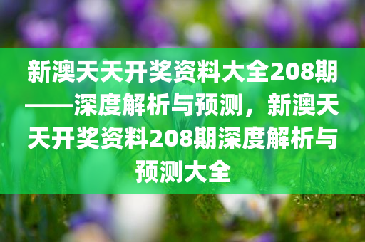 新澳天天开奖资料大全208期——深度解析与预测，新澳天天开奖资料208期深度解析与预测大全