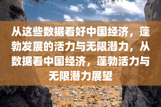 从这些数据看好中国经济，蓬勃发展的活力与无限潜力，从数据看中国经济，蓬勃活力与无限潜力展望