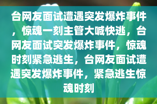 台网友面试遭遇突发爆炸事件，惊魂一刻主管大喊快逃，台网友面试突发爆炸事件，惊魂时刻紧急逃生，台网友面试遭遇突发爆炸事件，紧急逃生惊魂时刻