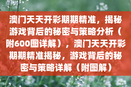 澳门天天开彩期期精准，揭秘游戏背后的秘密与策略分析（附600图详解），澳门天天开彩期期精准揭秘，游戏背后的秘密与策略详解（附图解）