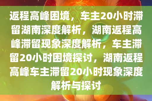 返程高峰困境，车主20小时滞留湖南深度解析，湖南返程高峰滞留现象深度解析，车主滞留20小时困境探讨，湖南返程高峰车主滞留20小时现象深度解析与探讨