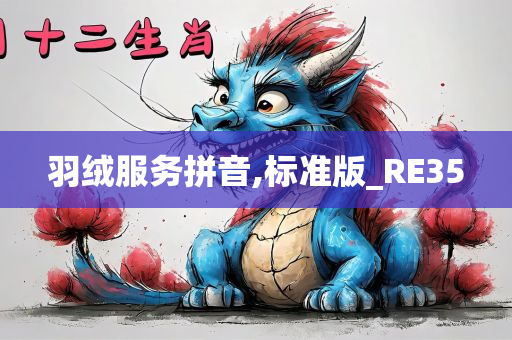 羽绒服务拼音,标准版_RE35