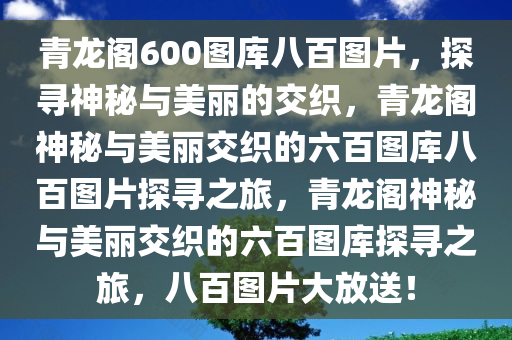 青龙阁600图库八百图片，探寻神秘与美丽的交织，青龙阁神秘与美丽交织的六百图库八百图片探寻之旅，青龙阁神秘与美丽交织的六百图库探寻之旅，八百图片大放送！