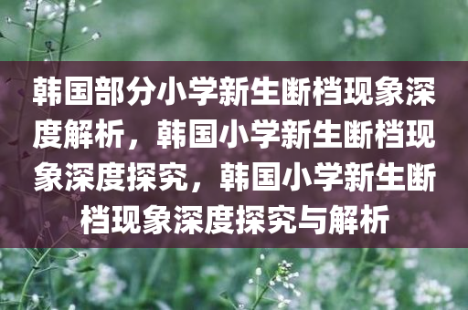 韩国部分小学新生断档现象深度解析，韩国小学新生断档现象深度探究，韩国小学新生断档现象深度探究与解析