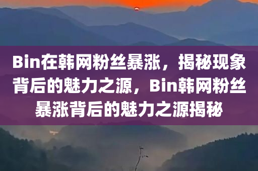 Bin在韩网粉丝暴涨，揭秘现象背后的魅力之源，Bin韩网粉丝暴涨背后的魅力之源揭秘